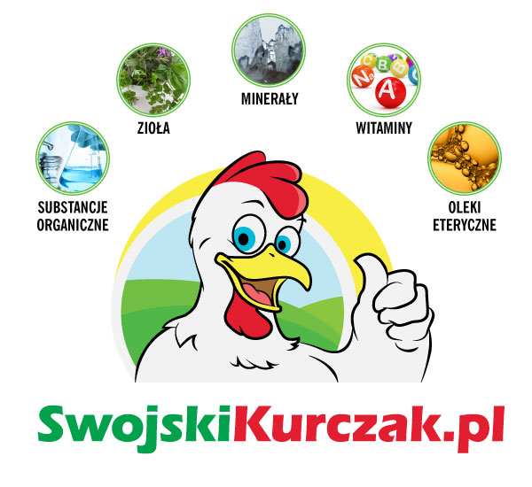 OBRAZEK-2